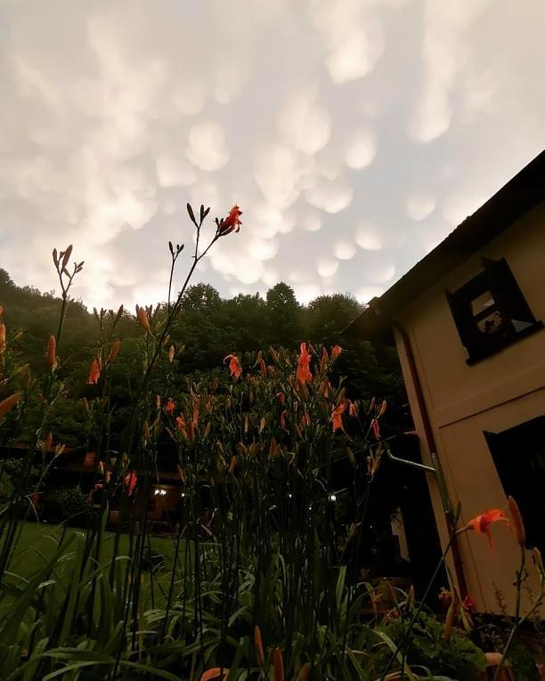 Guest House Verbena Apriltsi  Exterior photo