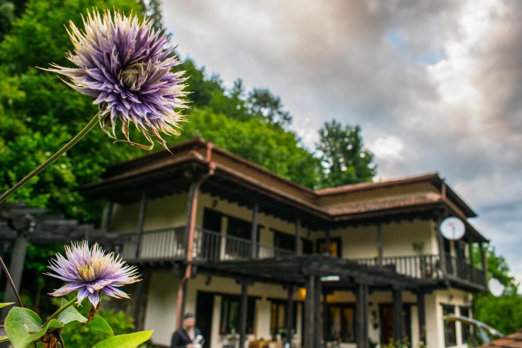 Guest House Verbena Apriltsi  Exterior photo